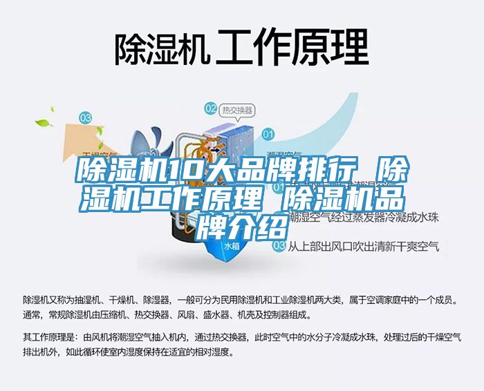 香蕉视频国产10大品牌排行 香蕉视频国产工作原理 香蕉视频国产品牌介紹