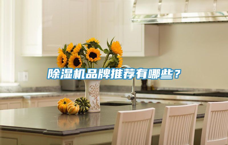 香蕉视频国产品牌推薦有哪些？