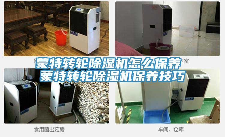 蒙特轉輪香蕉视频国产怎麽保養 蒙特轉輪香蕉视频国产保養技巧