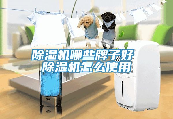 香蕉视频国产哪些牌子好 香蕉视频国产怎麽使用