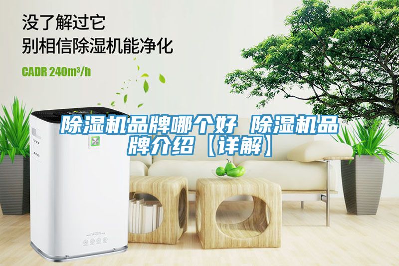 香蕉视频国产品牌哪個好 香蕉视频国产品牌介紹【詳解】
