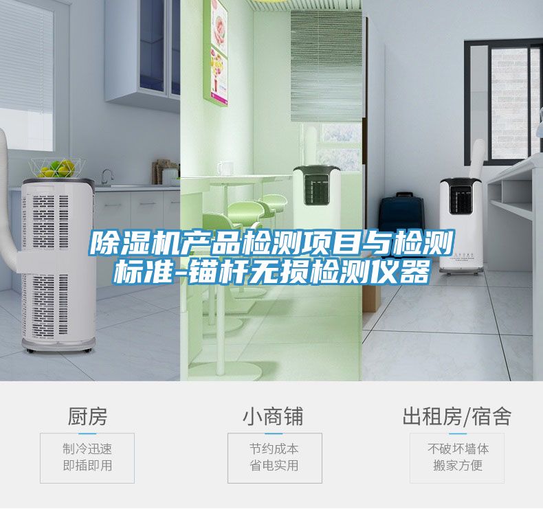 香蕉视频国产產品檢測項目與檢測標準-錨杆無損檢測儀器