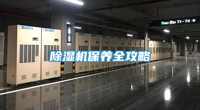 香蕉视频国产保養全攻略
