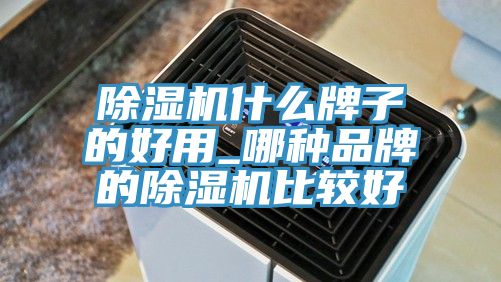 香蕉视频国产什麽牌子的好用_哪種品牌的香蕉视频国产比較好