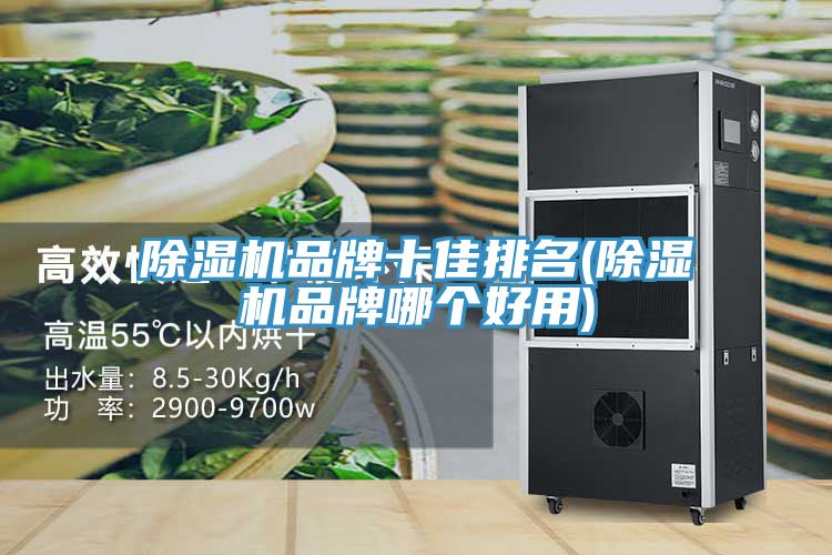 香蕉视频国产品牌十佳排名(香蕉视频国产品牌哪個好用)