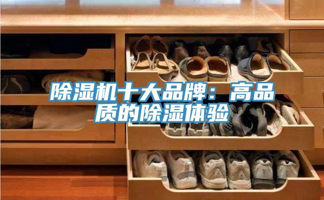香蕉视频国产十大品牌：高品質的除濕體驗