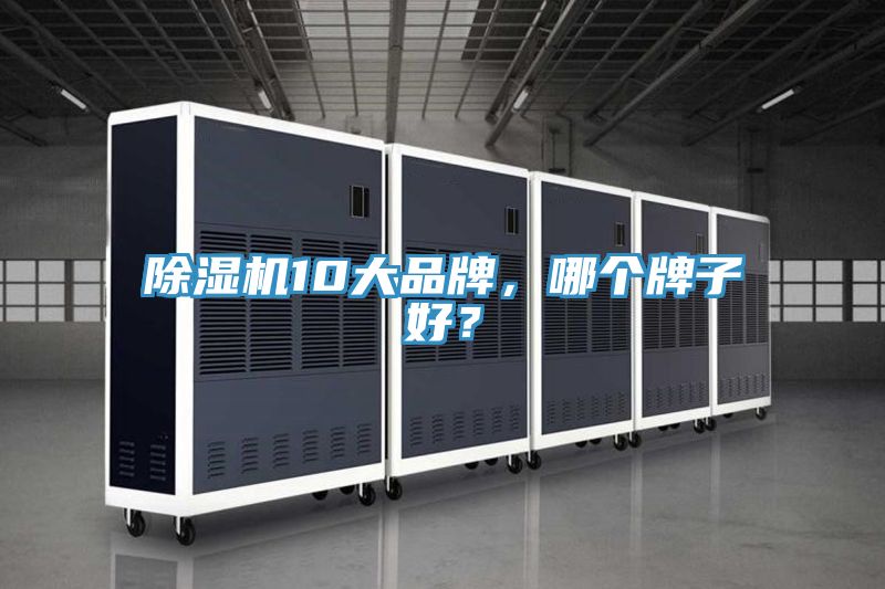 香蕉视频国产10大品牌，哪個牌子好？