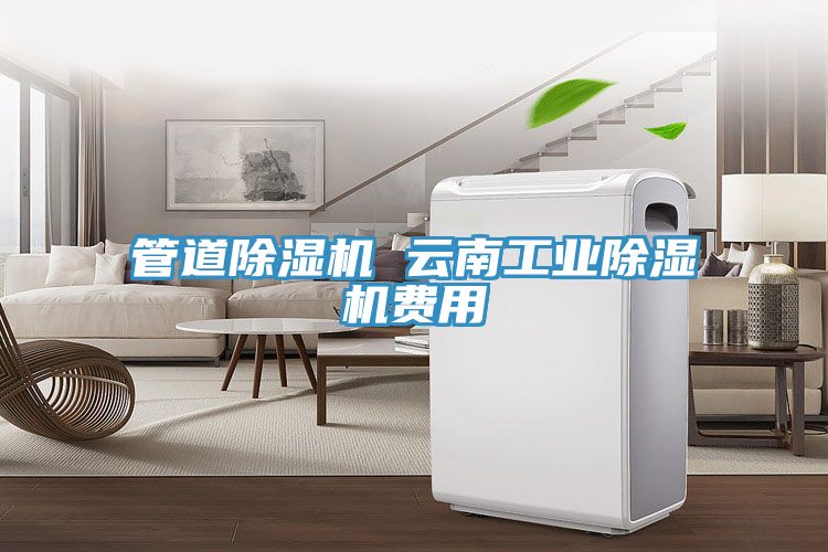 管道香蕉视频国产 雲南工業香蕉视频国产費用