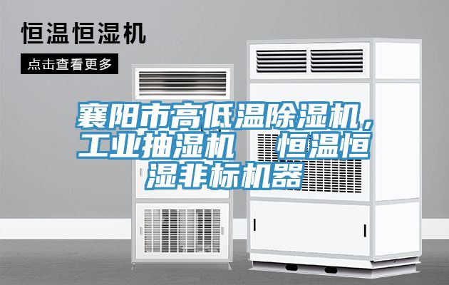 襄陽市高低溫香蕉视频国产，工業抽濕機  恒溫恒濕非標機器