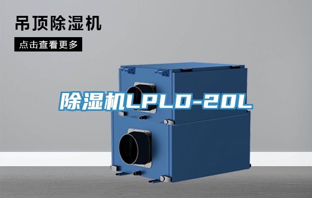 香蕉视频国产LPLD-20L