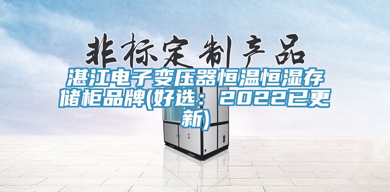 湛江電子變壓器恒溫恒濕存儲櫃品牌(好選：2022已更新)