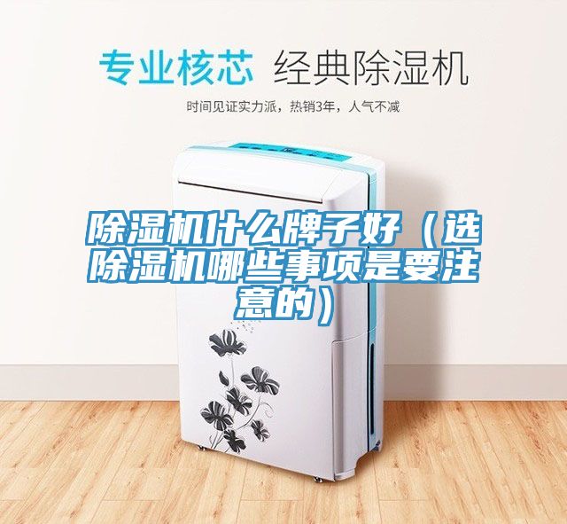 香蕉视频国产什麽牌子好（選香蕉视频国产哪些事項是要注意的）