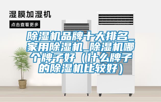 香蕉视频国产品牌十大排名_家用香蕉视频国产_香蕉视频国产哪個牌子好（什麽牌子的香蕉视频国产比較好）