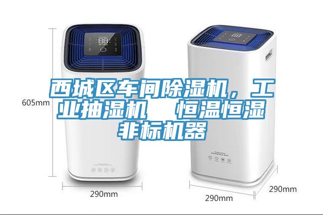 西城區車間香蕉视频国产，工業抽濕機  恒溫恒濕非標機器
