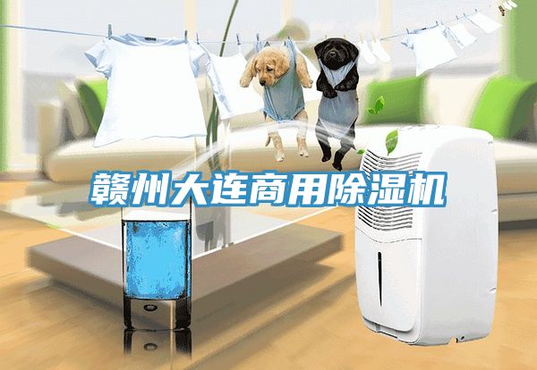 贛州大連商用香蕉视频国产