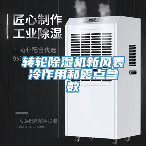 轉輪香蕉视频国产新風表冷作用和露點參數