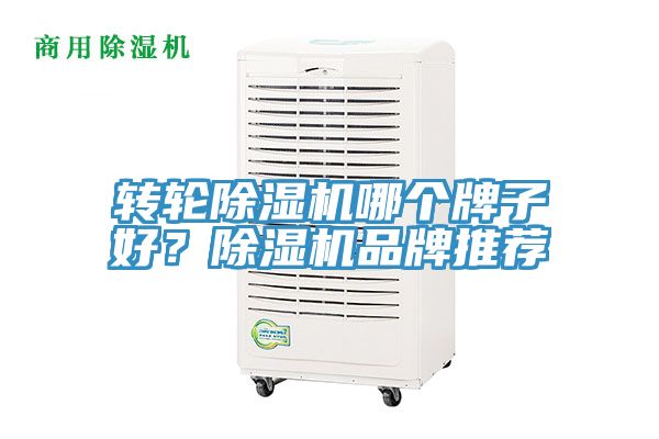 轉輪香蕉视频国产哪個牌子好？香蕉视频国产品牌推薦