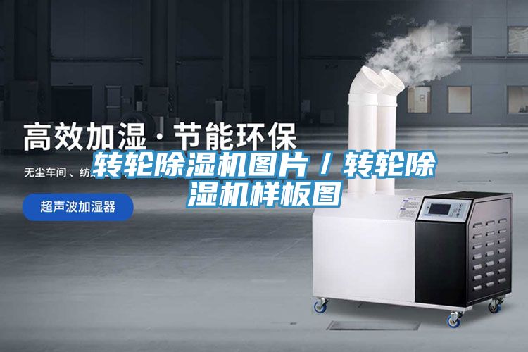 轉輪香蕉视频国产圖片／轉輪香蕉视频国产樣板圖