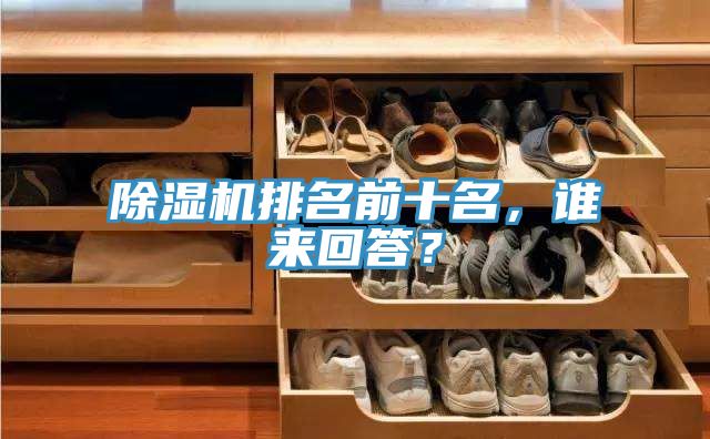 香蕉视频国产排名前十名，誰來回答？