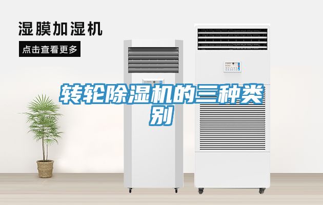 轉輪香蕉视频国产的三種類別