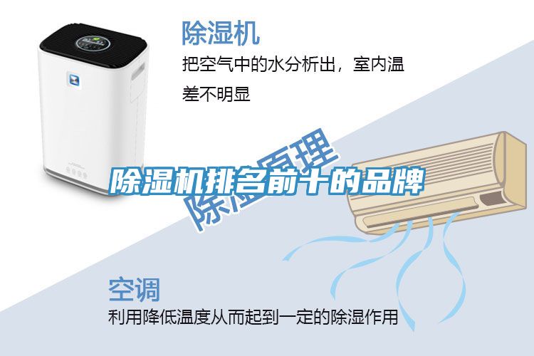 香蕉视频国产排名前十的品牌
