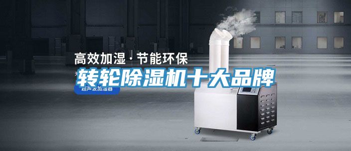 轉輪香蕉视频国产十大品牌