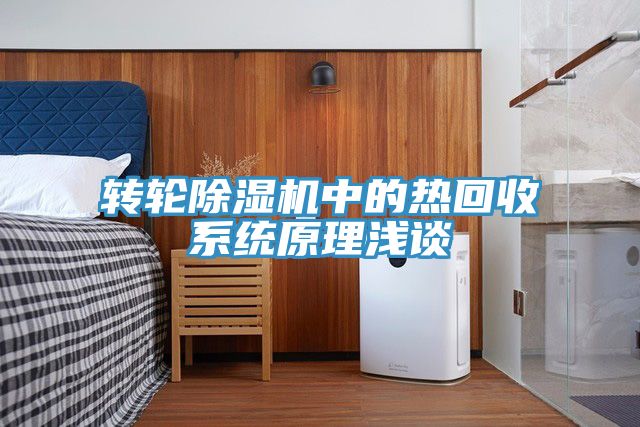 轉輪香蕉视频国产中的熱回收係統原理淺談