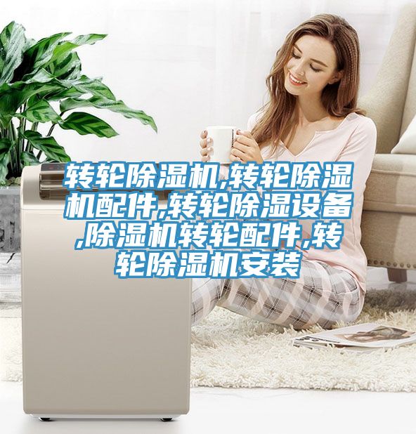 轉輪香蕉视频国产,轉輪香蕉视频国产配件,轉輪除濕設備,香蕉视频国产轉輪配件,轉輪香蕉视频国产安裝