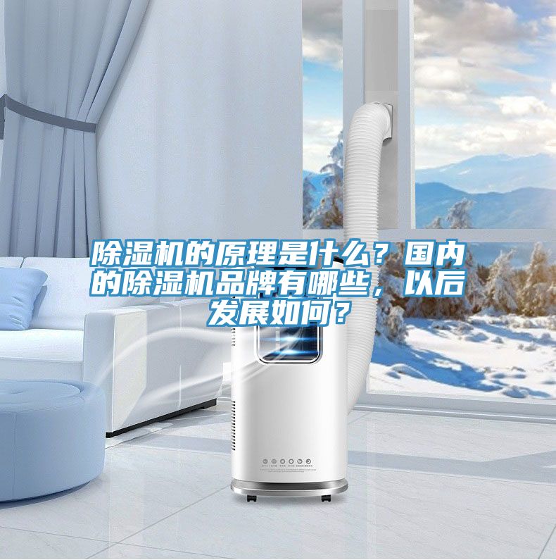 香蕉视频国产的原理是什麽？國內的香蕉视频国产品牌有哪些，以後發展如何？