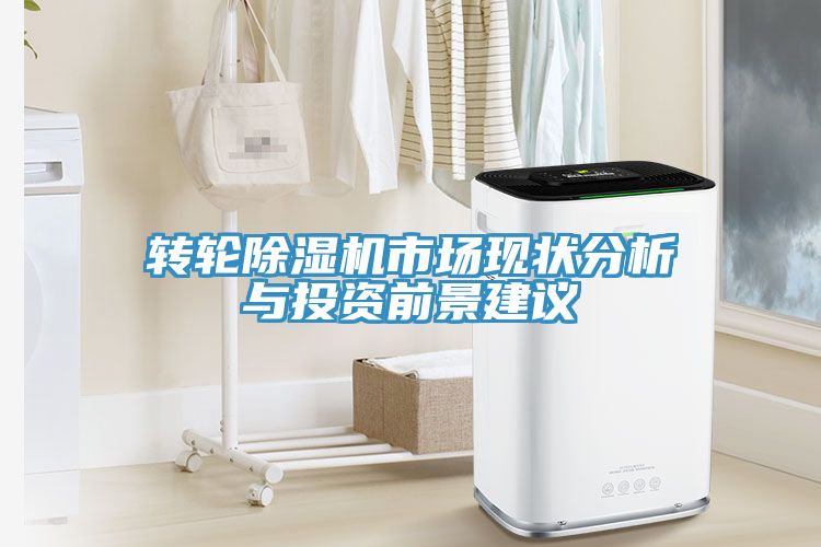 轉輪香蕉视频国产市場現狀分析與投資前景建議