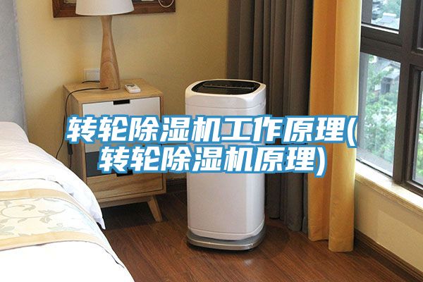 轉輪香蕉视频国产工作原理(轉輪香蕉视频国产原理)