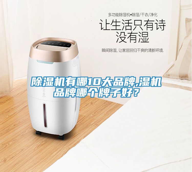 香蕉视频国产有哪10大品牌,濕機品牌哪個牌子好？