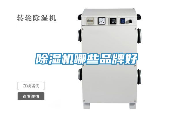 香蕉视频国产哪些品牌好