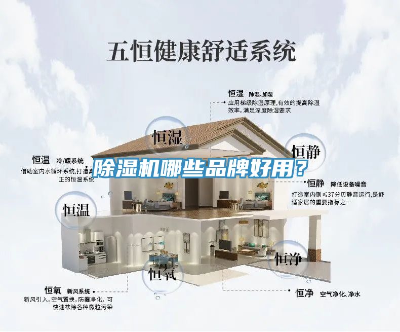 香蕉视频国产哪些品牌好用？