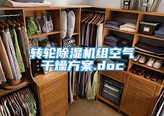 轉輪香蕉视频国产組空氣幹燥方案.doc
