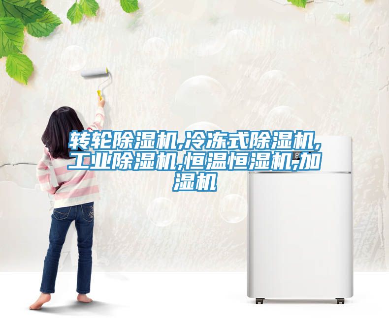 轉輪香蕉视频国产,冷凍式香蕉视频国产,工業香蕉视频国产,恒溫恒濕機,加濕機