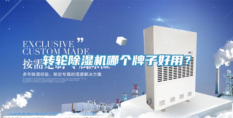 轉輪香蕉视频国产哪個牌子好用？