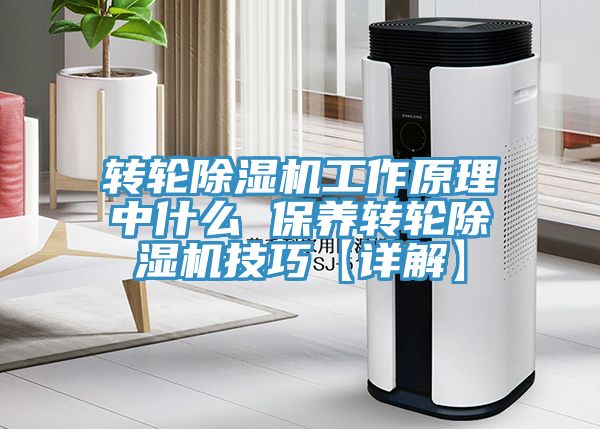 轉輪香蕉视频国产工作原理中什麽 保養轉輪香蕉视频国产技巧【詳解】