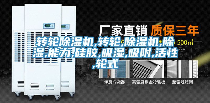 轉輪香蕉视频国产,轉輪,香蕉视频国产,除濕,能力,矽膠,吸濕,吸附,活性,輪式