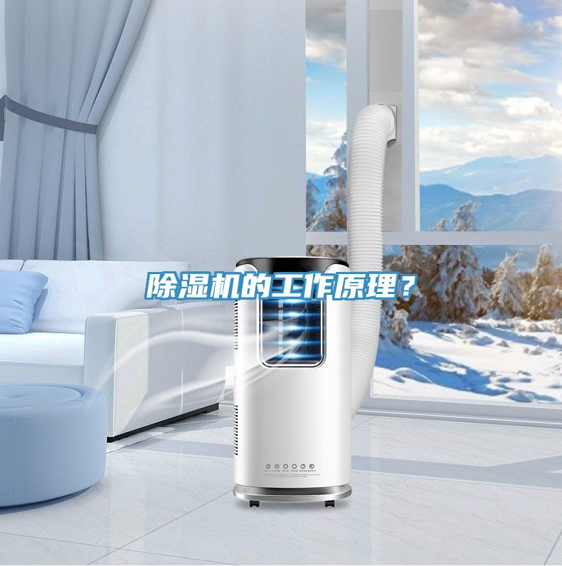 香蕉视频国产的工作原理？