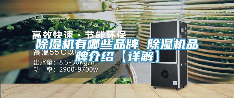 香蕉视频国产有哪些品牌 香蕉视频国产品牌介紹【詳解】
