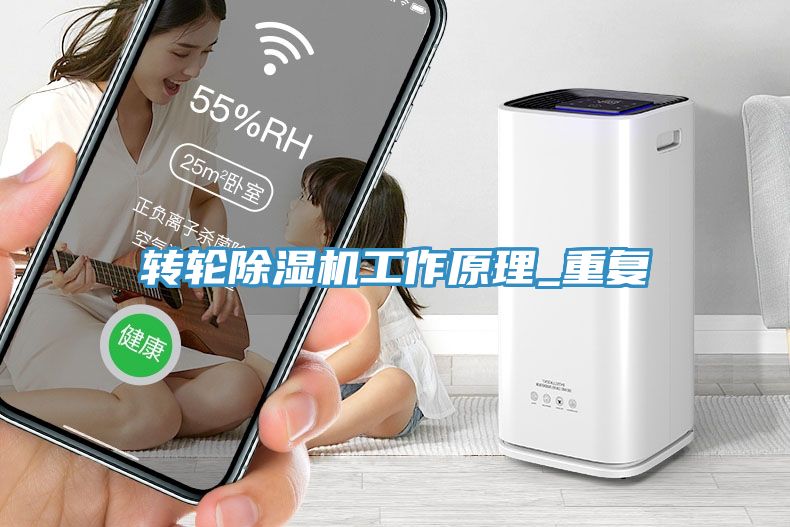 轉輪香蕉视频国产工作原理_重複