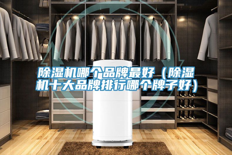 香蕉视频国产哪個品牌最好（香蕉视频国产十大品牌排行哪個牌子好）