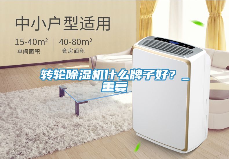 轉輪香蕉视频国产什麽牌子好？_重複