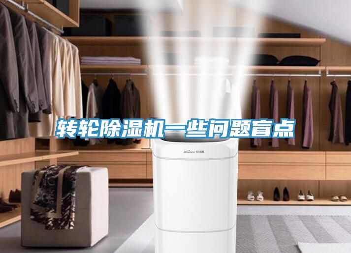 轉輪香蕉视频国产一些問題盲點