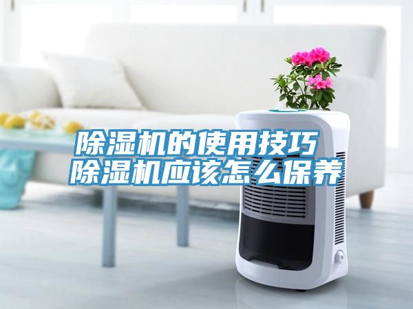 香蕉视频国产的使用技巧 香蕉视频国产應該怎麽保養