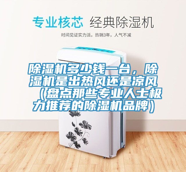 香蕉视频国产多少錢一台，香蕉视频国产是出熱風還是涼風（盤點那些專業人士極力推薦的香蕉视频国产品牌）