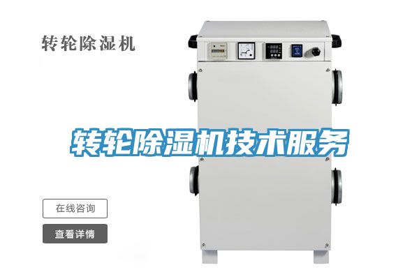 轉輪香蕉视频国产技術服務