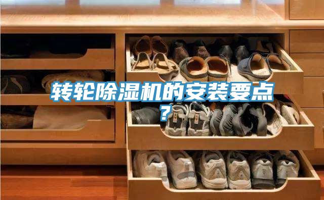 轉輪香蕉视频国产的安裝要點？