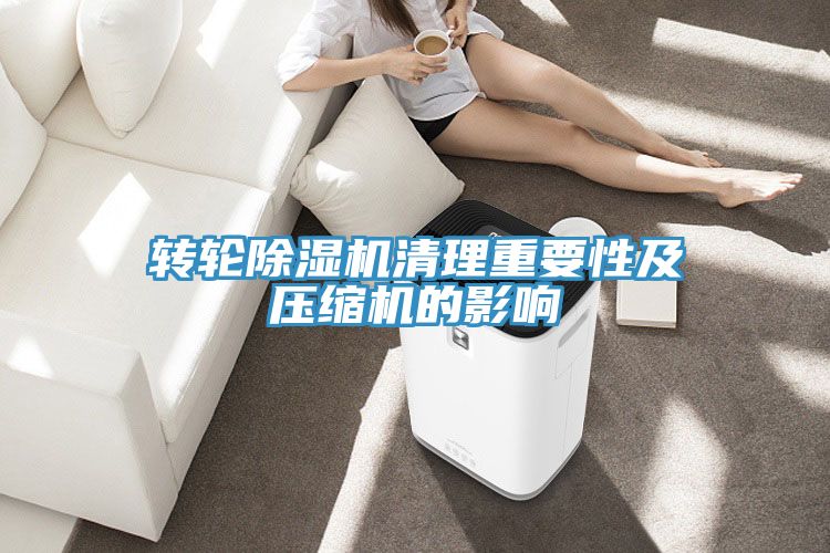 轉輪香蕉视频国产清理重要性及壓縮機的影響